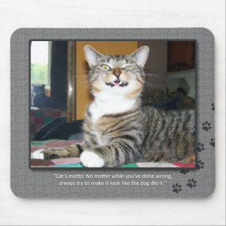 Tapis De Souris Chat accuse le chien