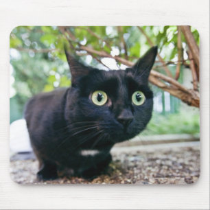 Tapis De Souris chat alerté se cachant sous le buisson