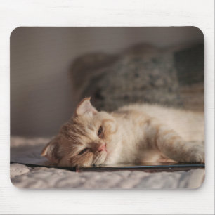 Tapis De Souris Chat, Animal De Compagnie, Kitten