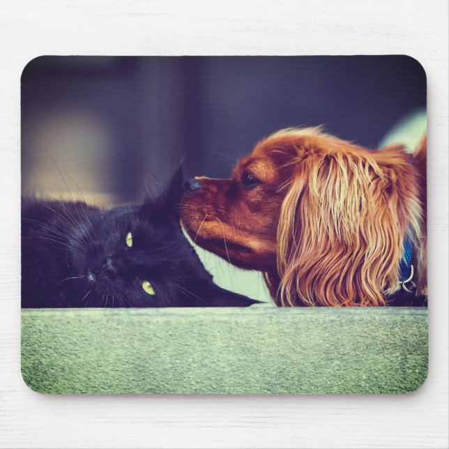 Tapis De Souris Chat, Animal, Kitten (Devant)