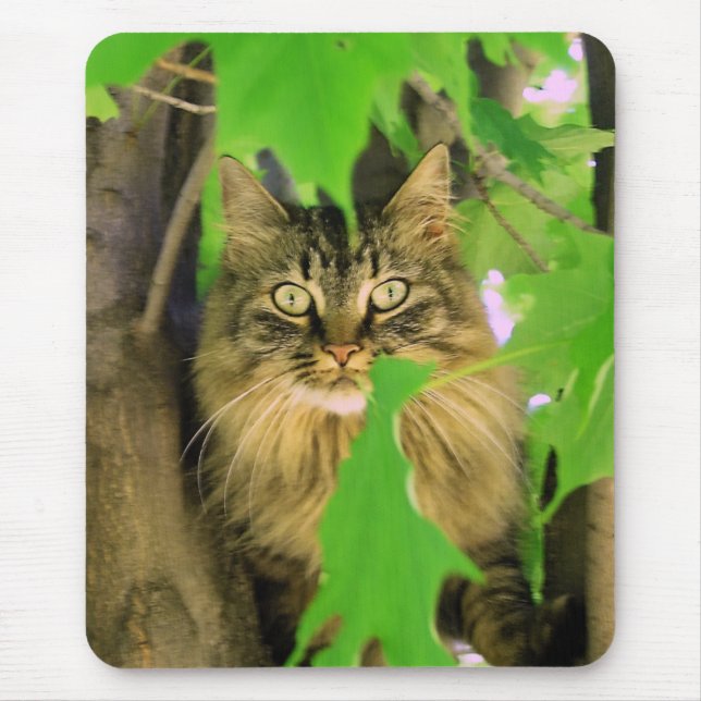 Tapis de souris Chat Arbre (Devant)