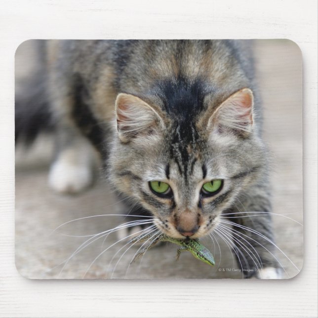 Tapis De Souris chat attrapé un lézard (Devant)