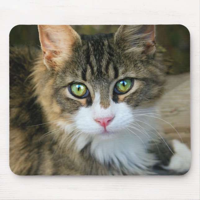 Tapis De Souris Chat aux yeux verts (Devant)