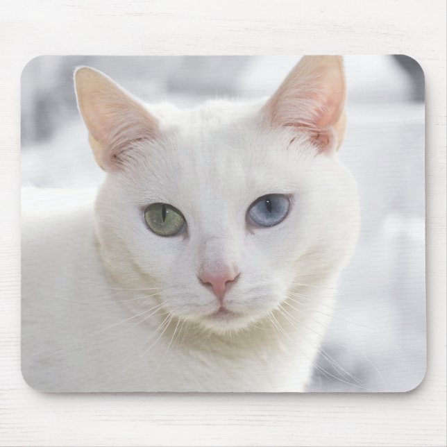 Tapis De Souris chat blanc aux yeux étranges (Devant)