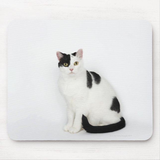 Tapis De Souris Chat blanc avec taches noires (Devant)