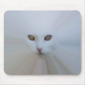 Tapis De Souris chat blanc éthéré