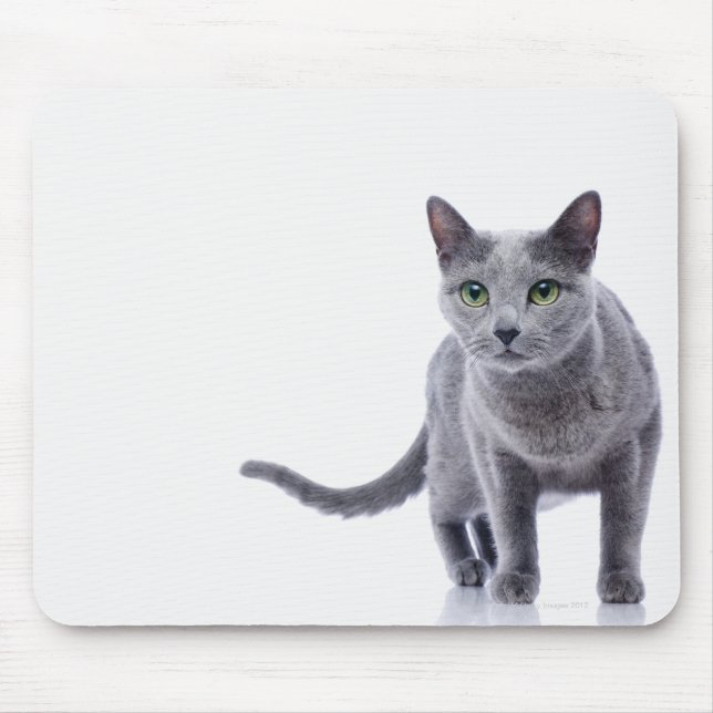 Tapis De Souris Chat bleu russe (Devant)