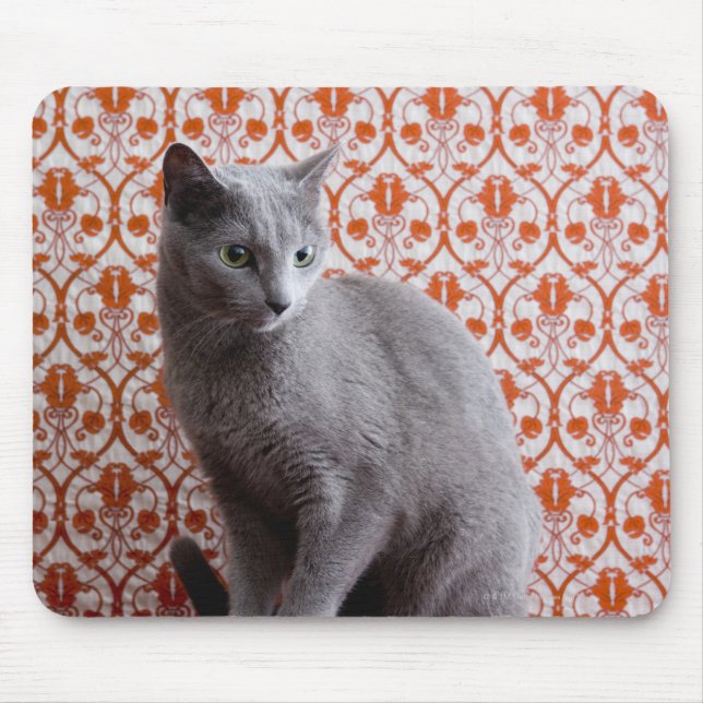 Tapis De Souris Chat (bleu russe) et papier peint arrière - plan (Devant)