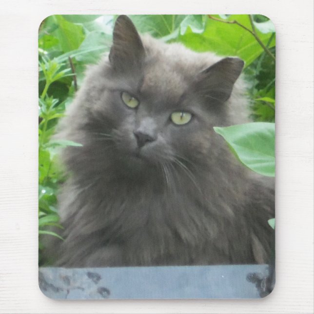 Tapis De Souris Chat bleu russe gris-long (Devant)