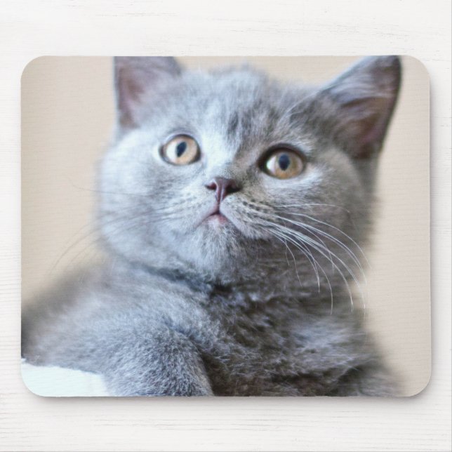 Tapis De Souris Chat britannique gris de Shorthair (Devant)