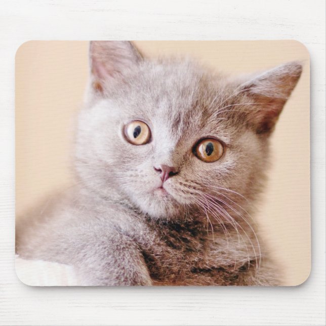 Tapis De Souris Chat britannique mignon de Shorthair (Devant)