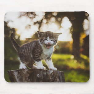 Tapis De Souris chat, chaton, animal de compagnie