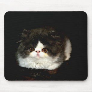 Tapis De Souris Chat chaton blanc noir mignon