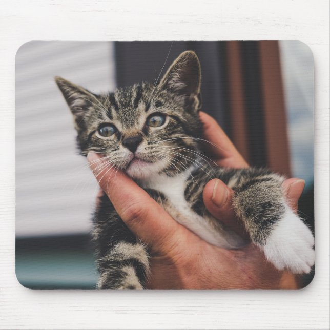 Tapis De Souris chat, chaton, main (Devant)