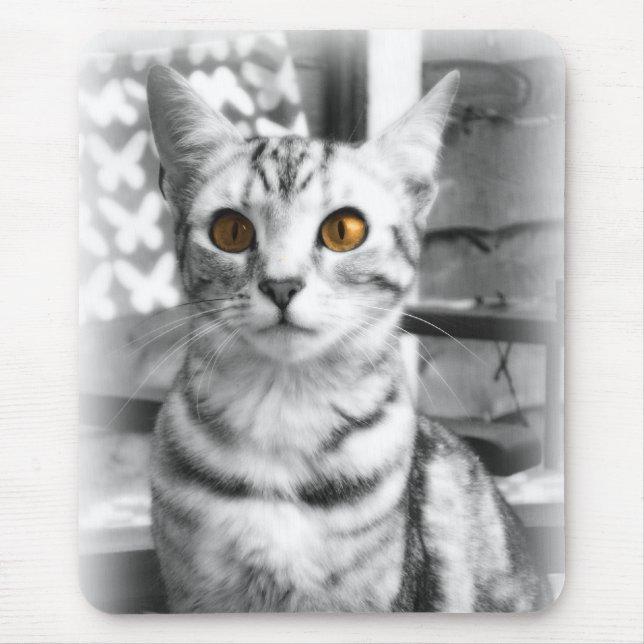 Tapis De Souris Chat Cheeky (Devant)