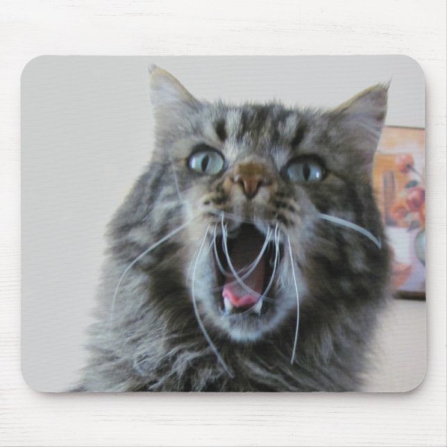 Tapis De Souris Chat choqué est choqué (Devant)