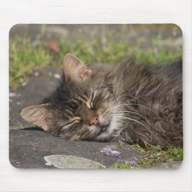 Tapis De Souris Chat couché (Devant)