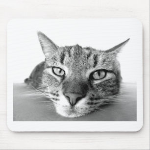 Tapis De Souris Chat couché