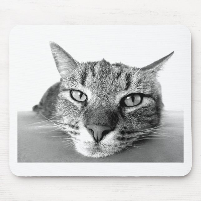 Tapis De Souris Chat couché (Devant)