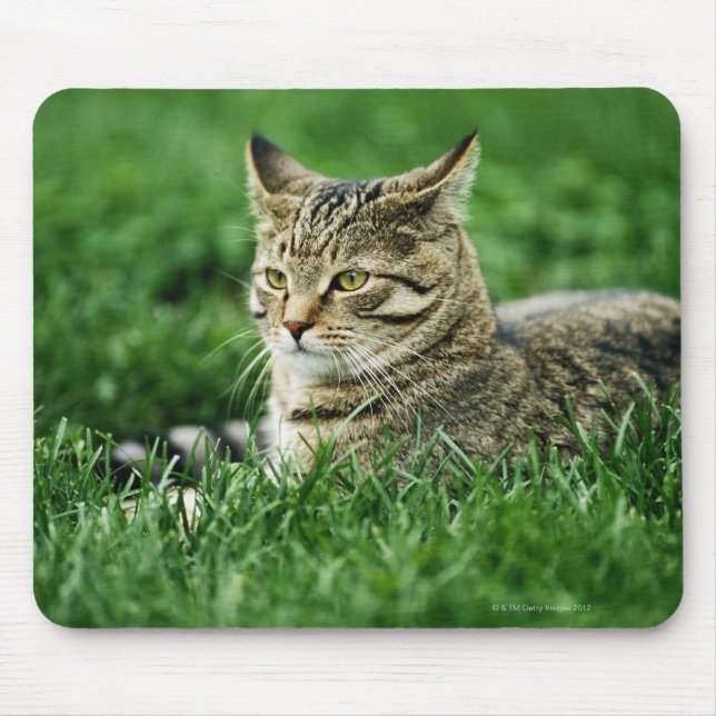 Tapis De Souris Chat couché dans l'herbe (Devant)