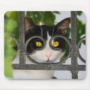 Tapis De Souris Chat curieux avec la monture de lunettes drôle -