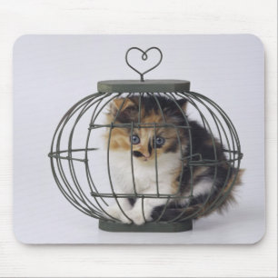 Tapis De Souris Chat dans la cage