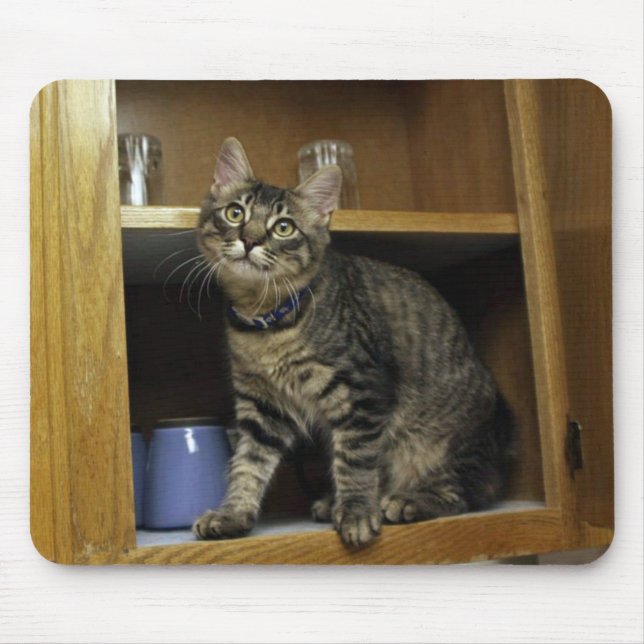 Tapis De Souris Chat dans la Mousepad de la marionnette (Devant)