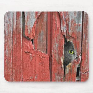 Tapis De Souris Chat dans trou de bois de grange