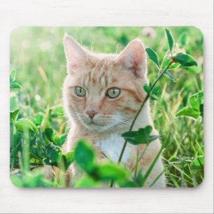 Tapis De Souris Chat de gingembre avec yeux verts en herbe