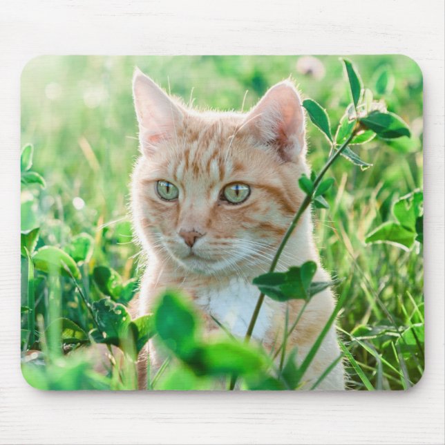 Tapis De Souris Chat de gingembre avec yeux verts en herbe (Devant)