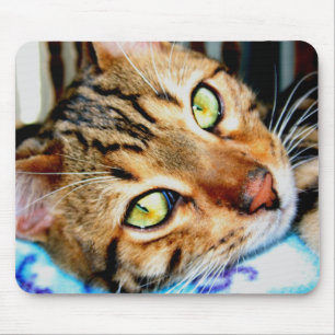 Tapis De Souris Chat de Mousepad Bengale