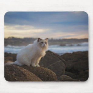 Tapis De Souris Chat de Ragdoll à la plage