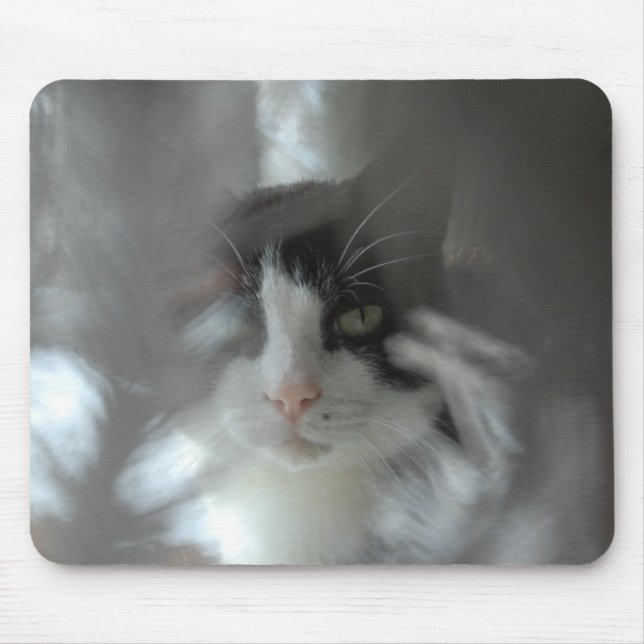 Tapis De Souris Chat de smoking scrutant par des branches (Devant)