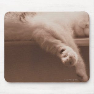 Tapis De Souris Chat de sommeil
