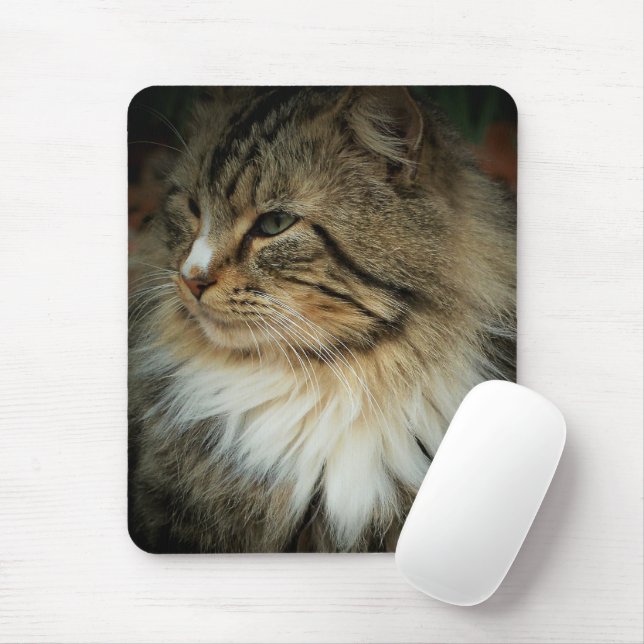 Tapis de souris Chat des Forêts Norvégiennes (Avec souris)