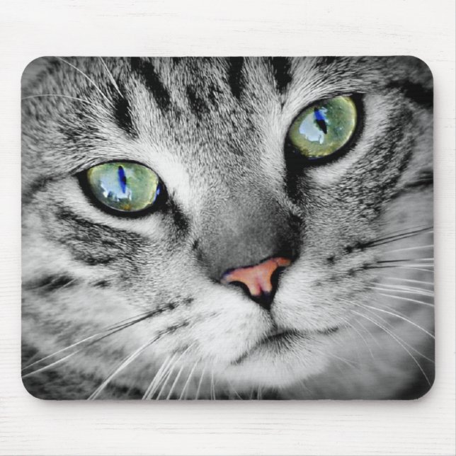 Tapis De Souris chat des yeux (Devant)