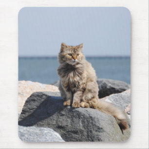 Tapis De Souris Chat Ébouriffé au Bord de la Mer Photo Mignonne