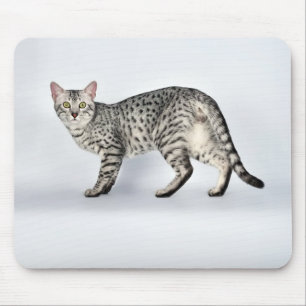 Tapis De Souris Chat égyptien Mau rare
