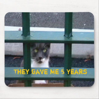 Tapis De Souris Chat en prison Mousepad