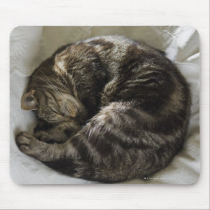 Tapis De Souris Chat endormi