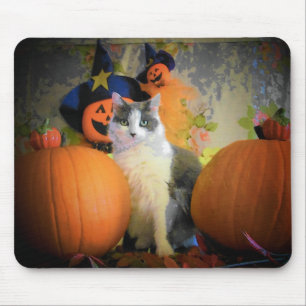 Tapis De Souris Chat entre Citrouilles