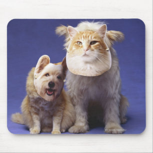 Tapis De Souris Chat et chien avec masques
