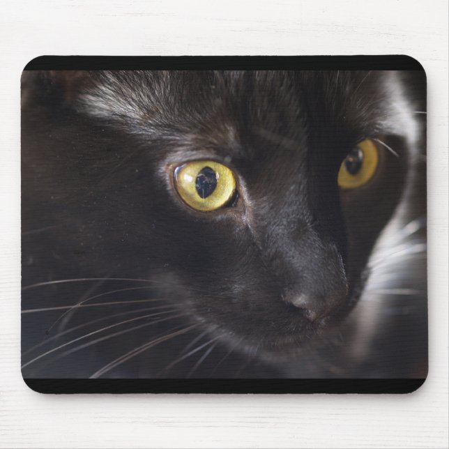Tapis De Souris Chat et souris (Devant)
