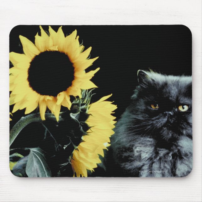 Tapis De Souris Chat et tournesol (Devant)