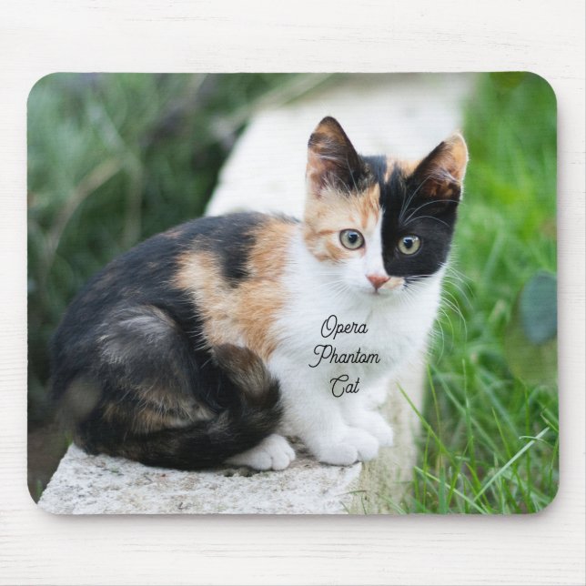 Tapis De Souris Chat Fantôme de l'Opéra (Devant)