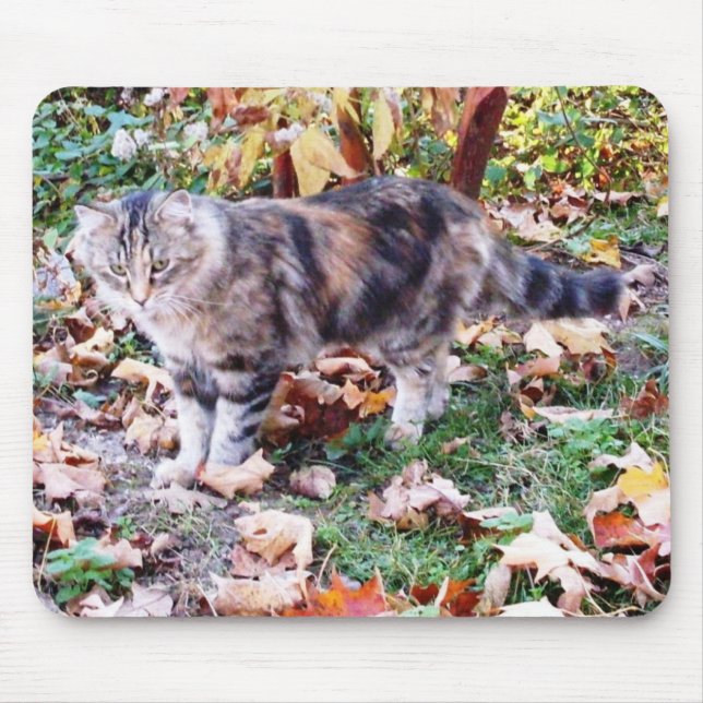 Tapis De Souris Chat Feral en automne Mousepad (Devant)
