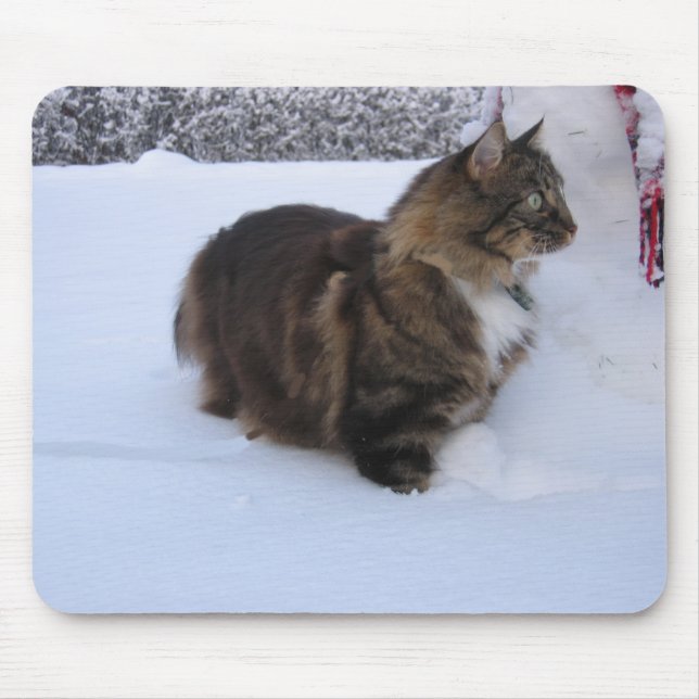 Tapis De Souris chat forestier norvégien dans la neige (Devant)