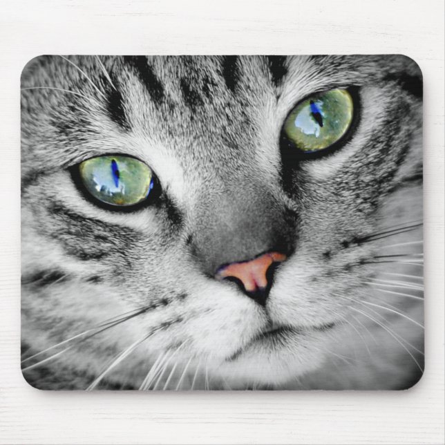 Tapis De Souris Chat Gris Tabby aux Yeux Verts en Gros Plan (Devant)