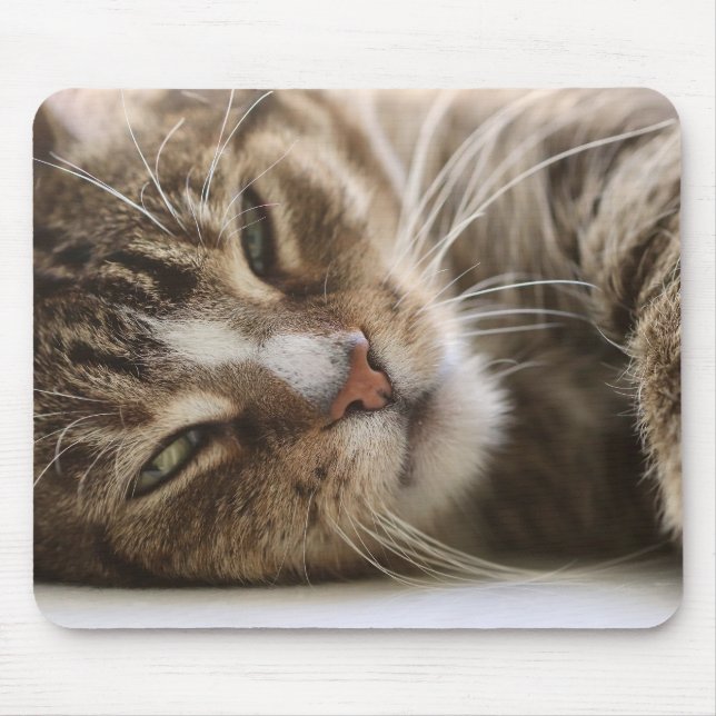 Tapis De Souris Chat, La gueule de bois, L'oeil du chat (Devant)