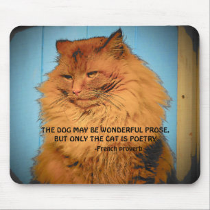 Tapis De Souris Chat Maine Coon avec proverbe français
